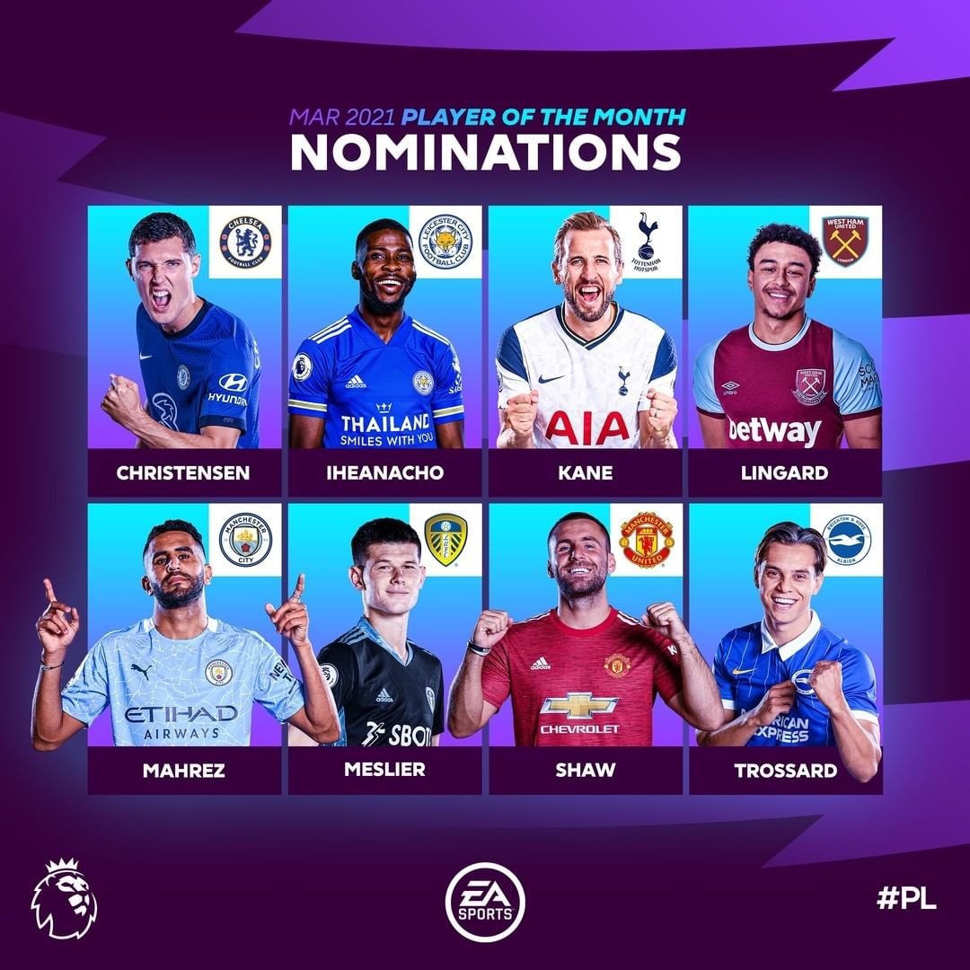 这种集体的 这种集体的